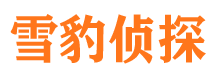 龙陵市调查公司